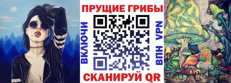Галлюциногенные грибы Psilocybine cubensis  цена наркотик  Отрадная 